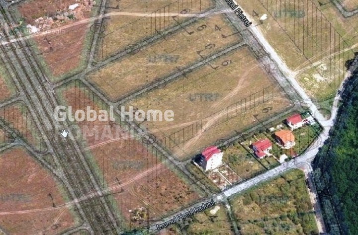 Teren Intravilan 5000 MP | Padurea Baneasa | Front stradal 25 MP |