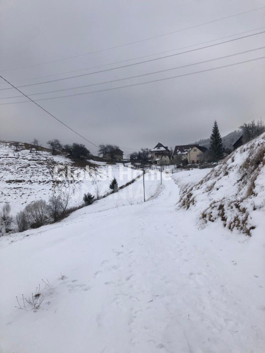 Teren 725 MP | Moieciu de Jos | Piatra Craiului | Oportunitate de investitie |