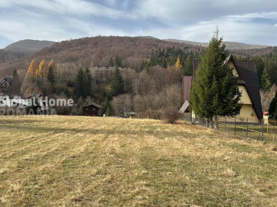 Teren Intravilan 1000MP | Cheia | Comision 0 |