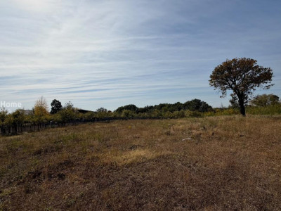 De vanzare | Parcele teren intravilan | 600 mp parcela | Langa padure