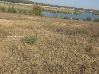 Vanzare teren intravilan Gradistea | Lac Căldărușani | 1000mp | 14,33 deschidere